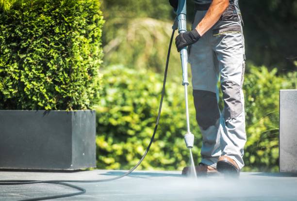  Maynardville, TN Pressure Washing Pros