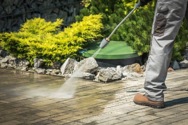 Best Pool Deck Cleaning  in Maynardville, TN