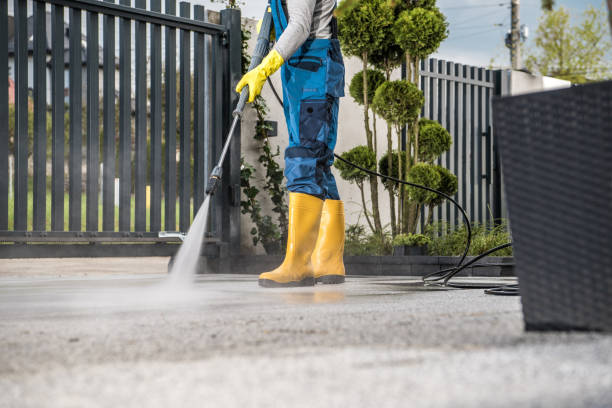 Animal Enclosure Cleaning in Maynardville, TN